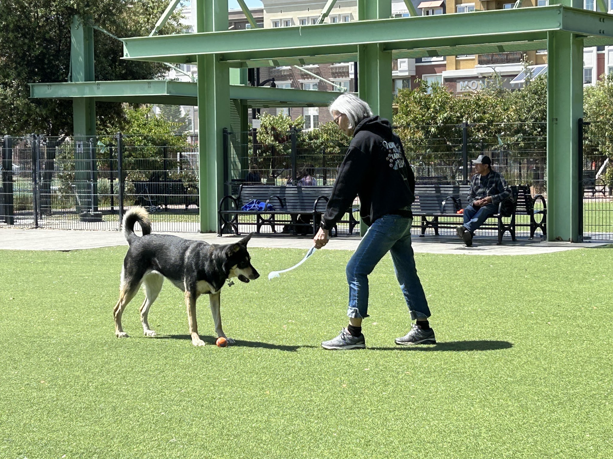 Del Monte Park - San Jose, CA