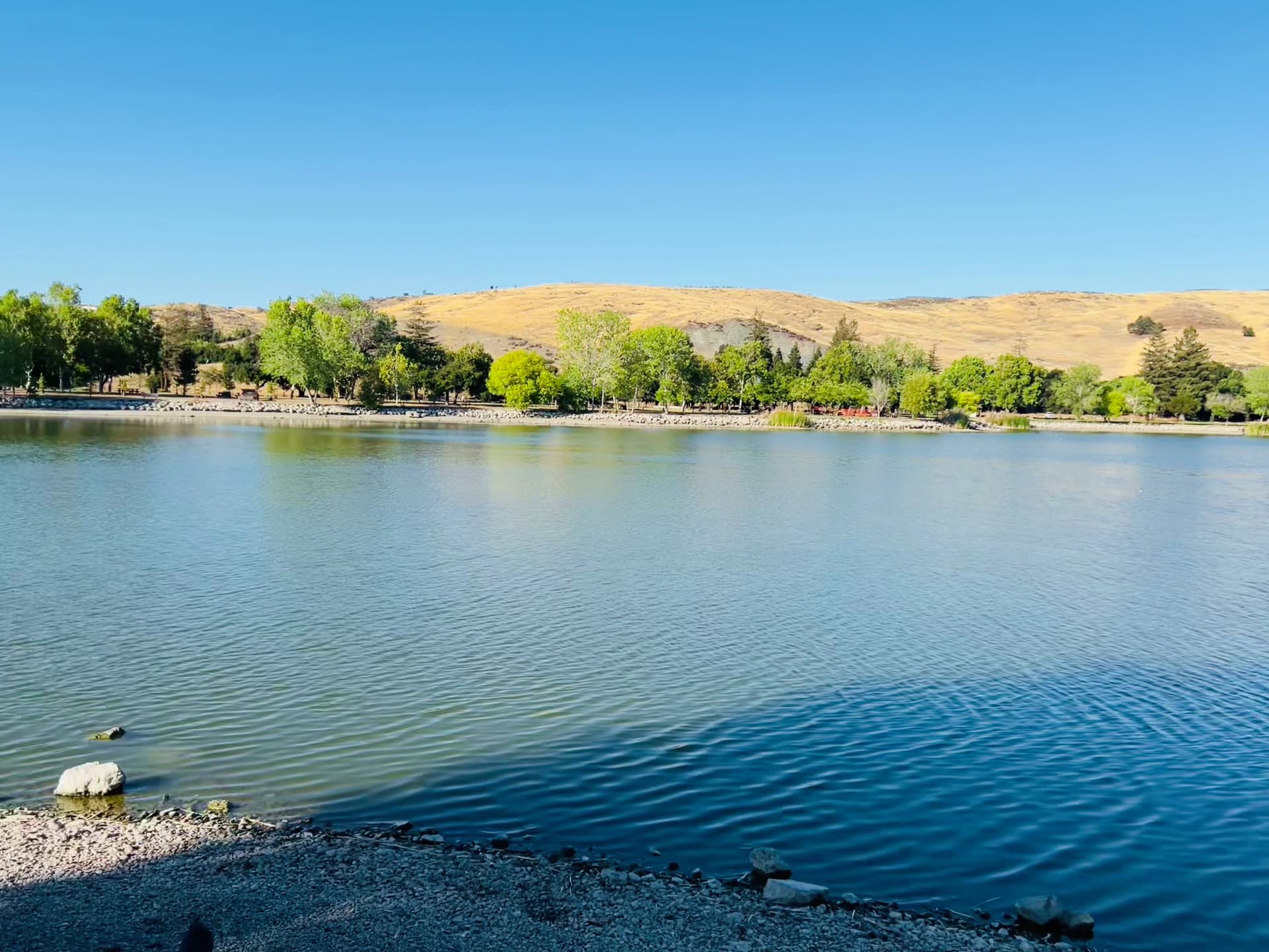 Hellyer County Park - San Jose, CA