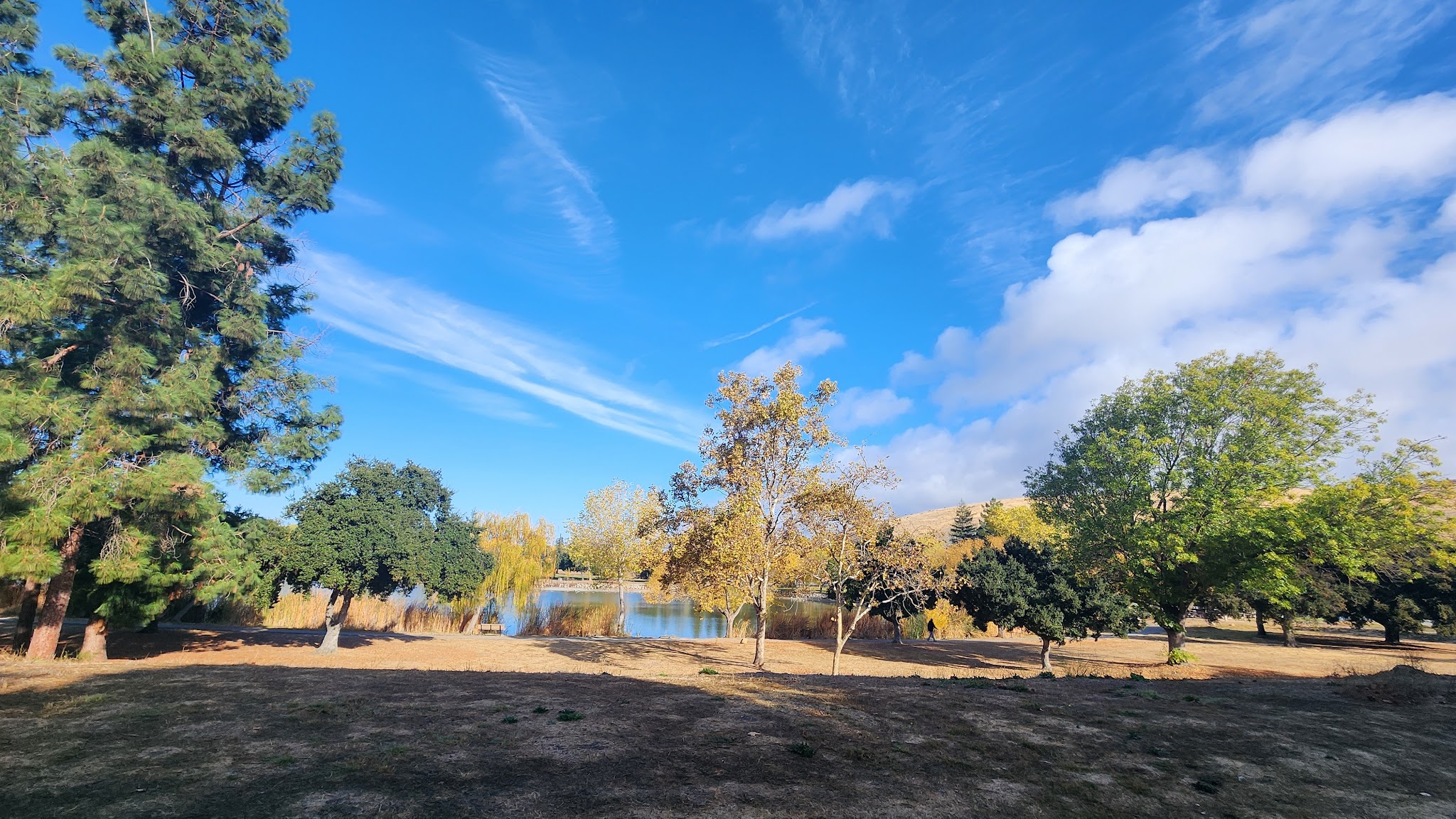 Hellyer County Park - San Jose, CA