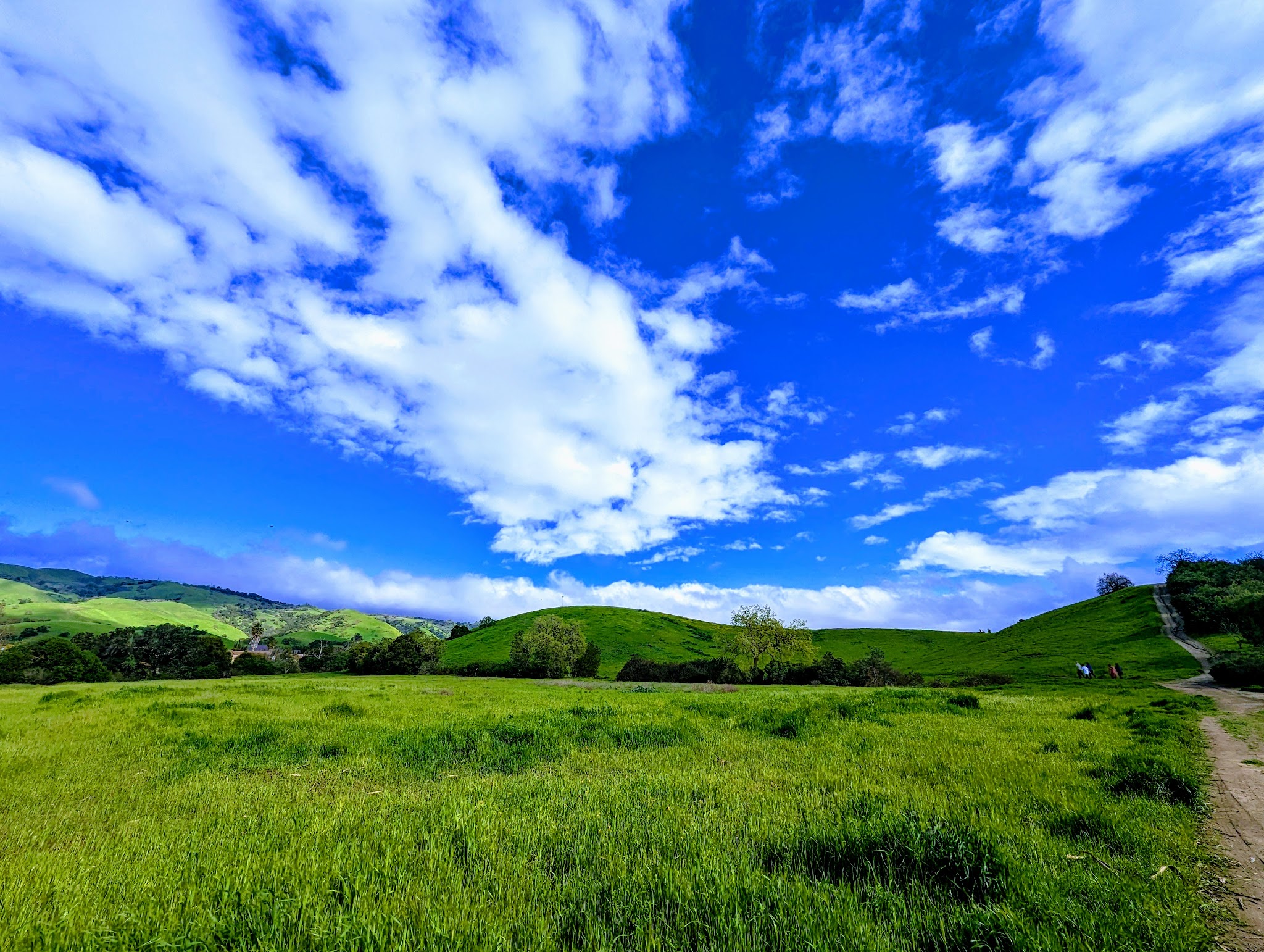 Montgomery Hill Park - San Jose, CA