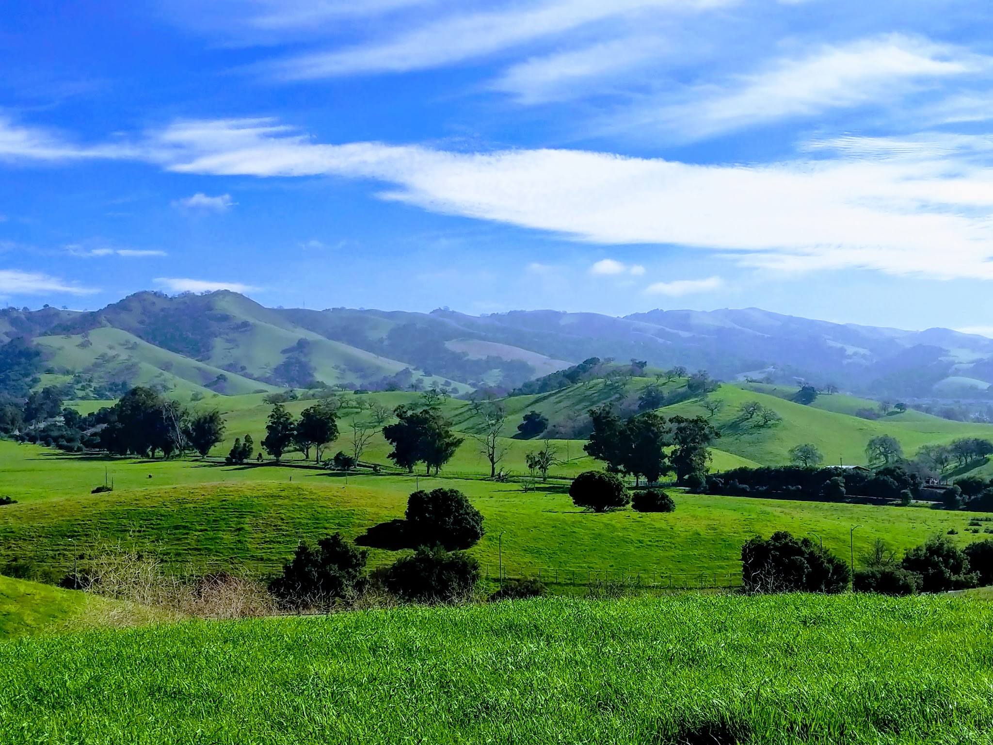 Montgomery Hill Park - San Jose, CA