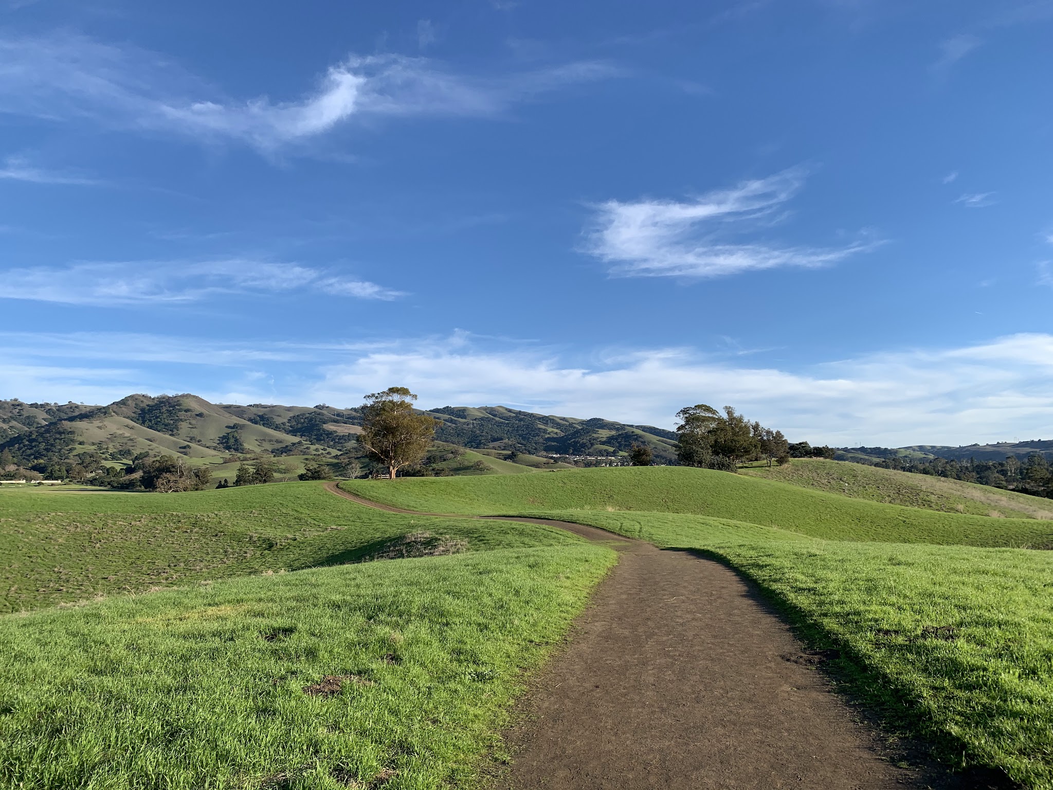 Montgomery Hill Park - San Jose, CA