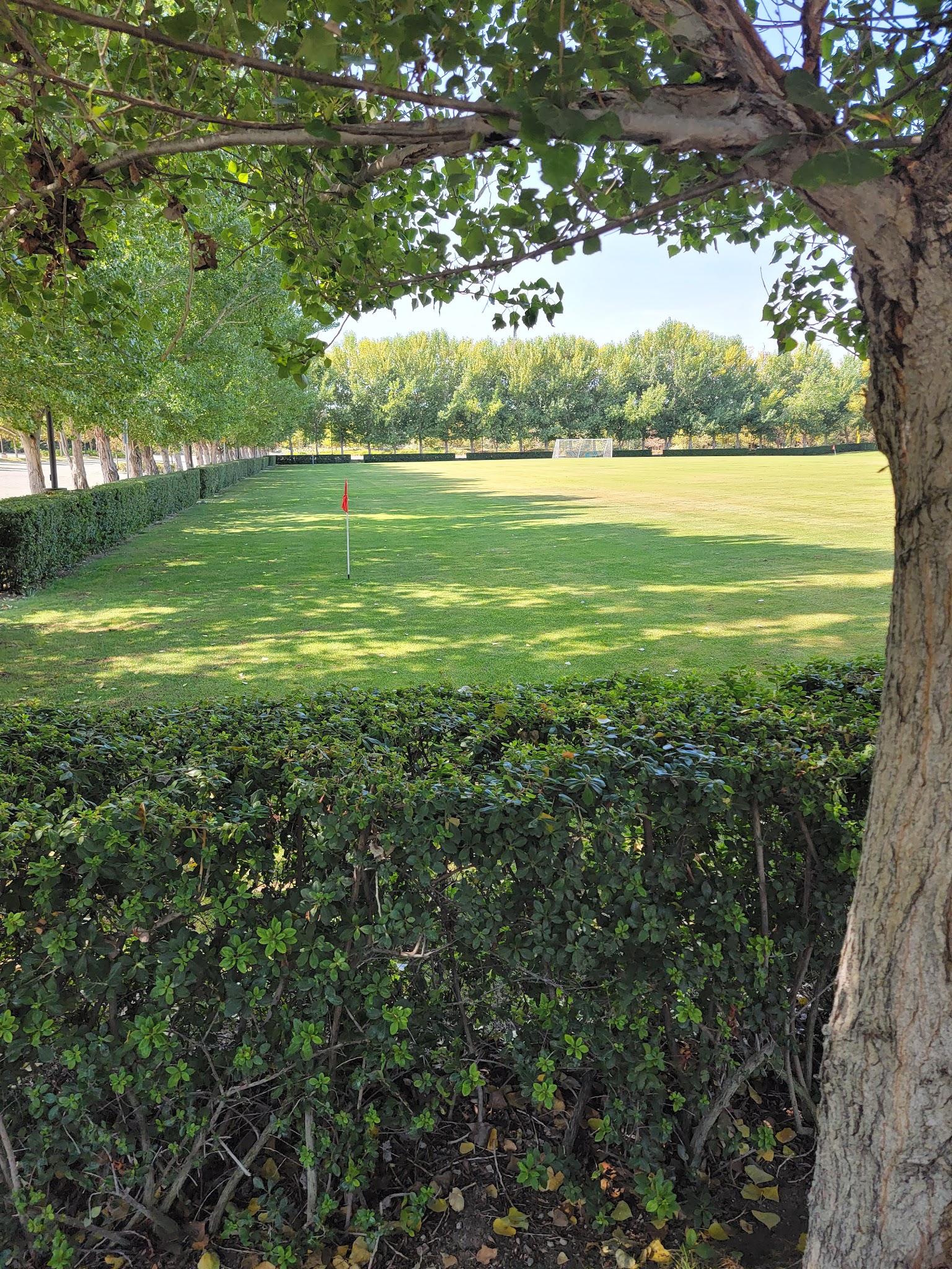 O’Nel Field - San Jose, CA