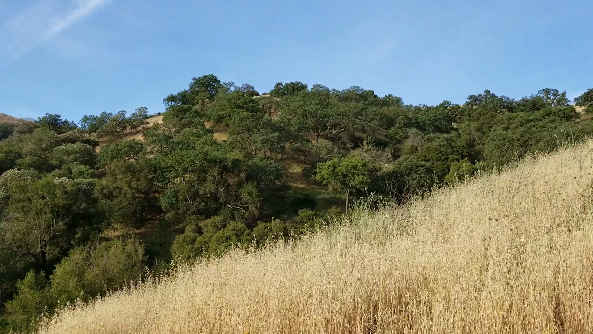 Santa Teresa County Park - San Jose, CA
