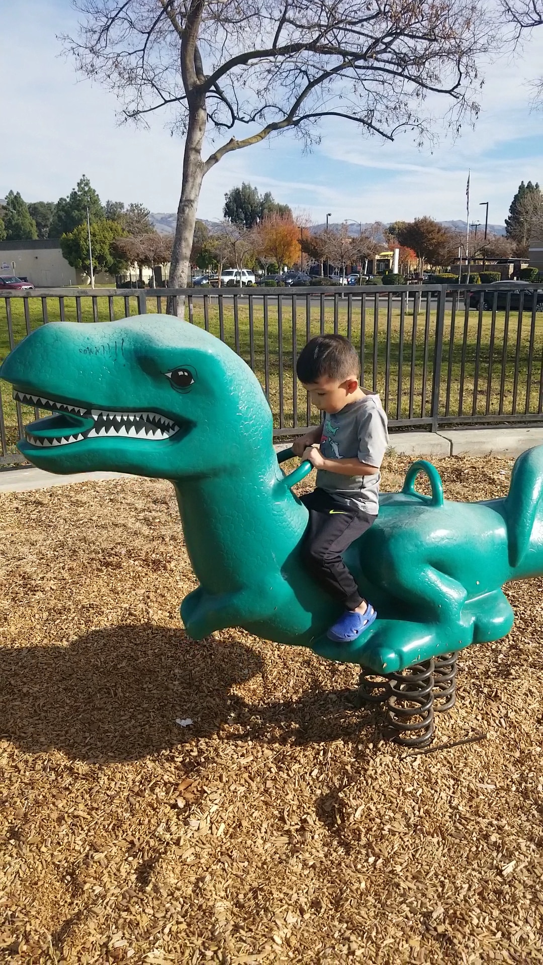 Welch Dog Park - San Jose, CA