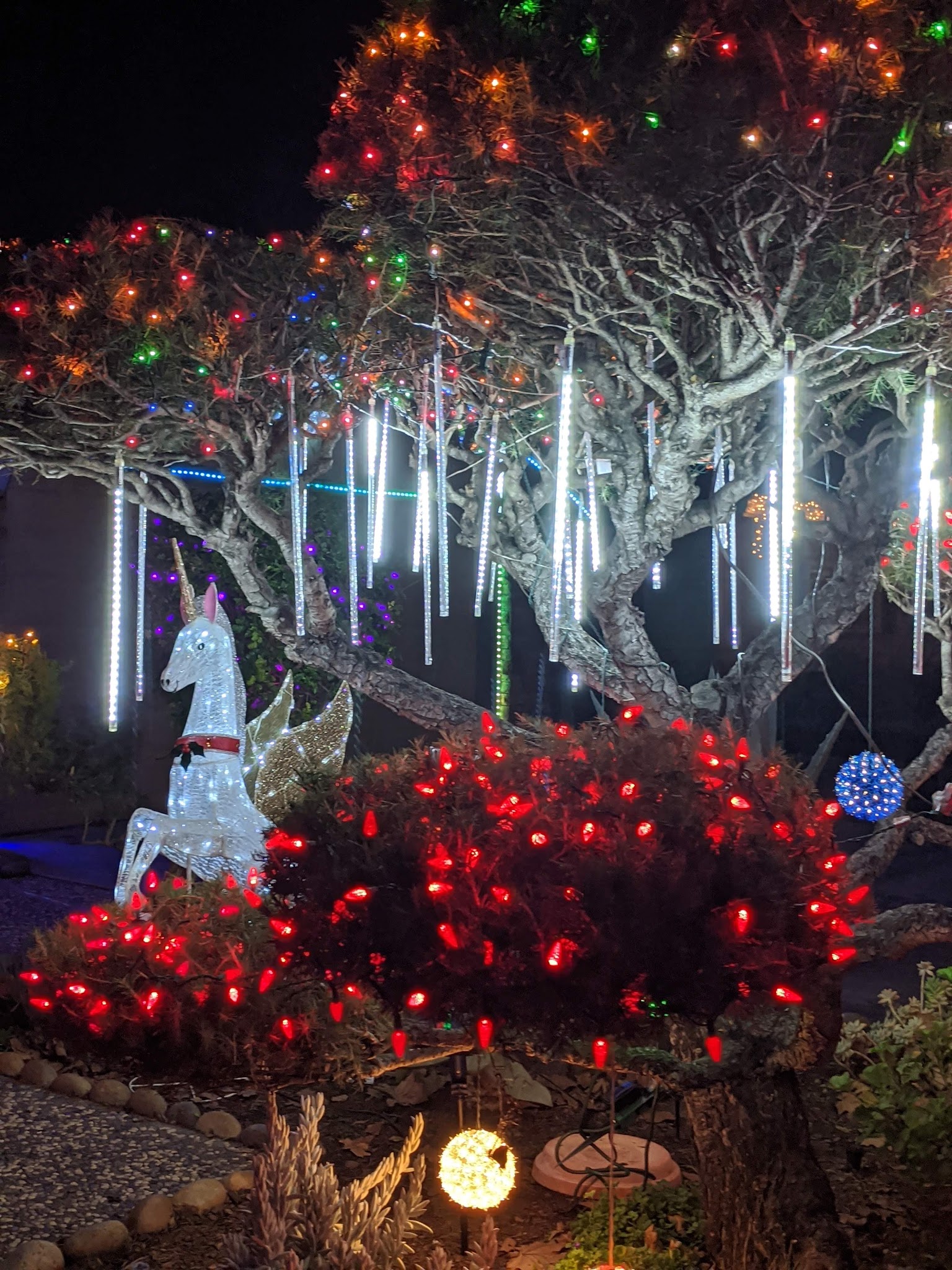 Willow Street Frank Bramhall Park - San Jose, CA