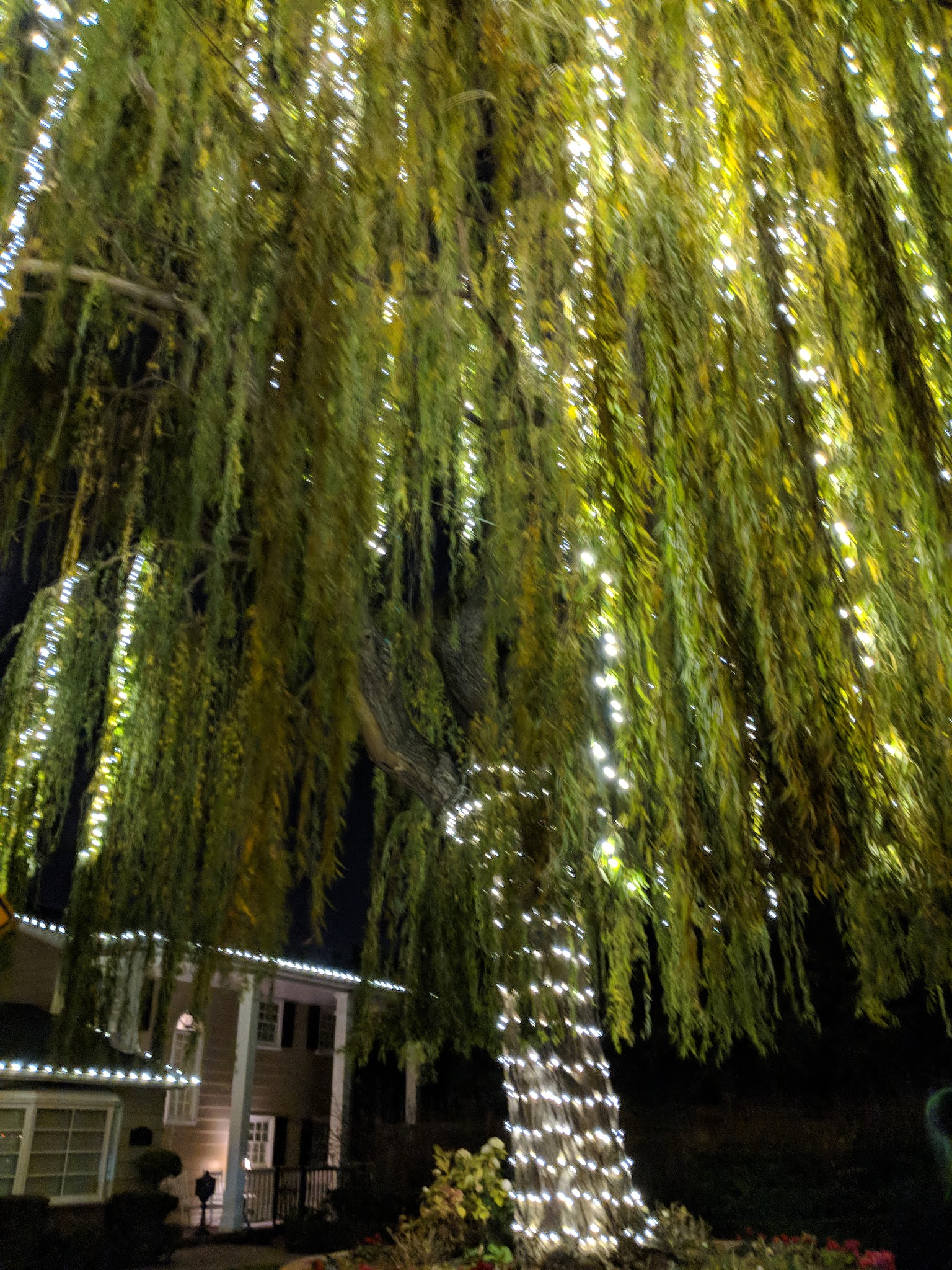 Willow Street Frank Bramhall Park - San Jose, CA