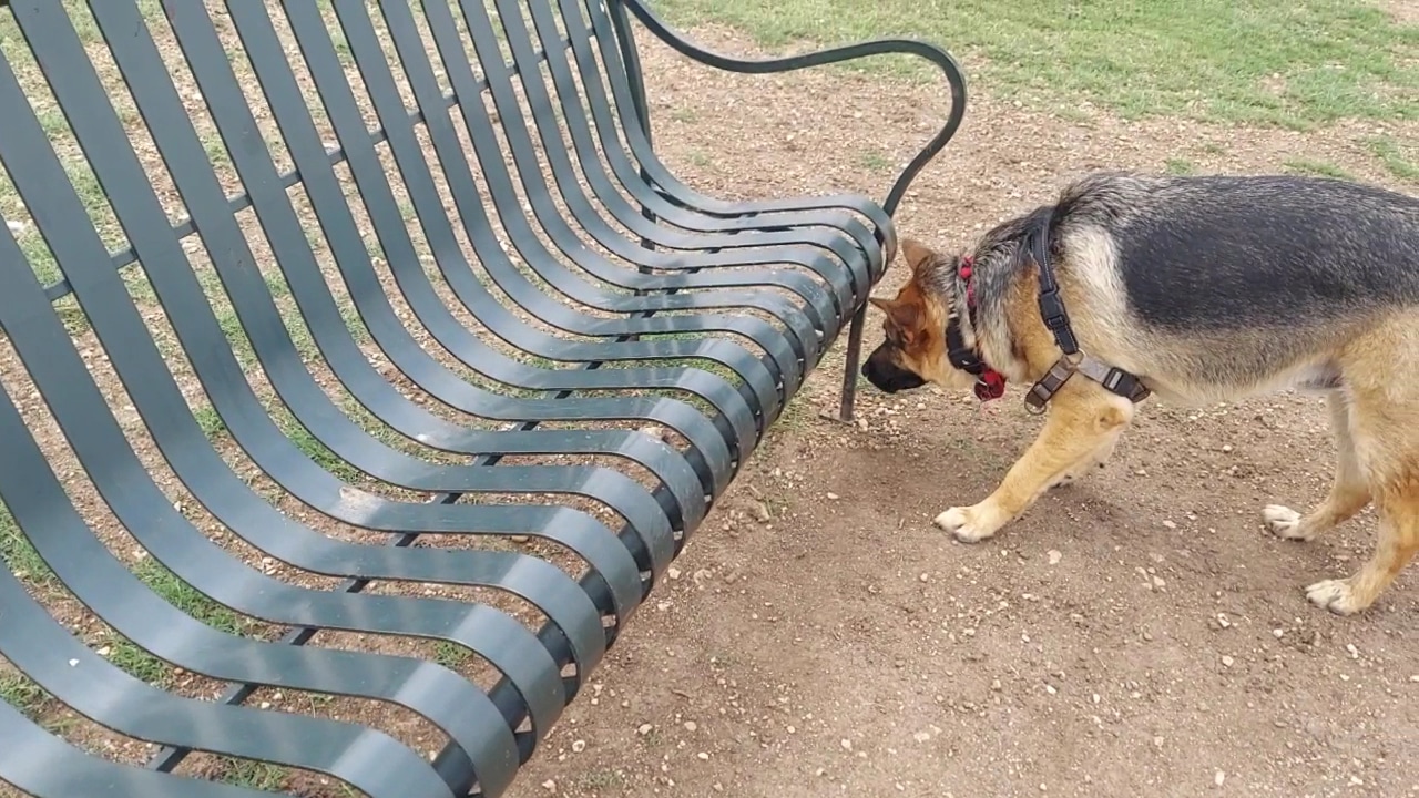 Dog Park - San Marcos, TX