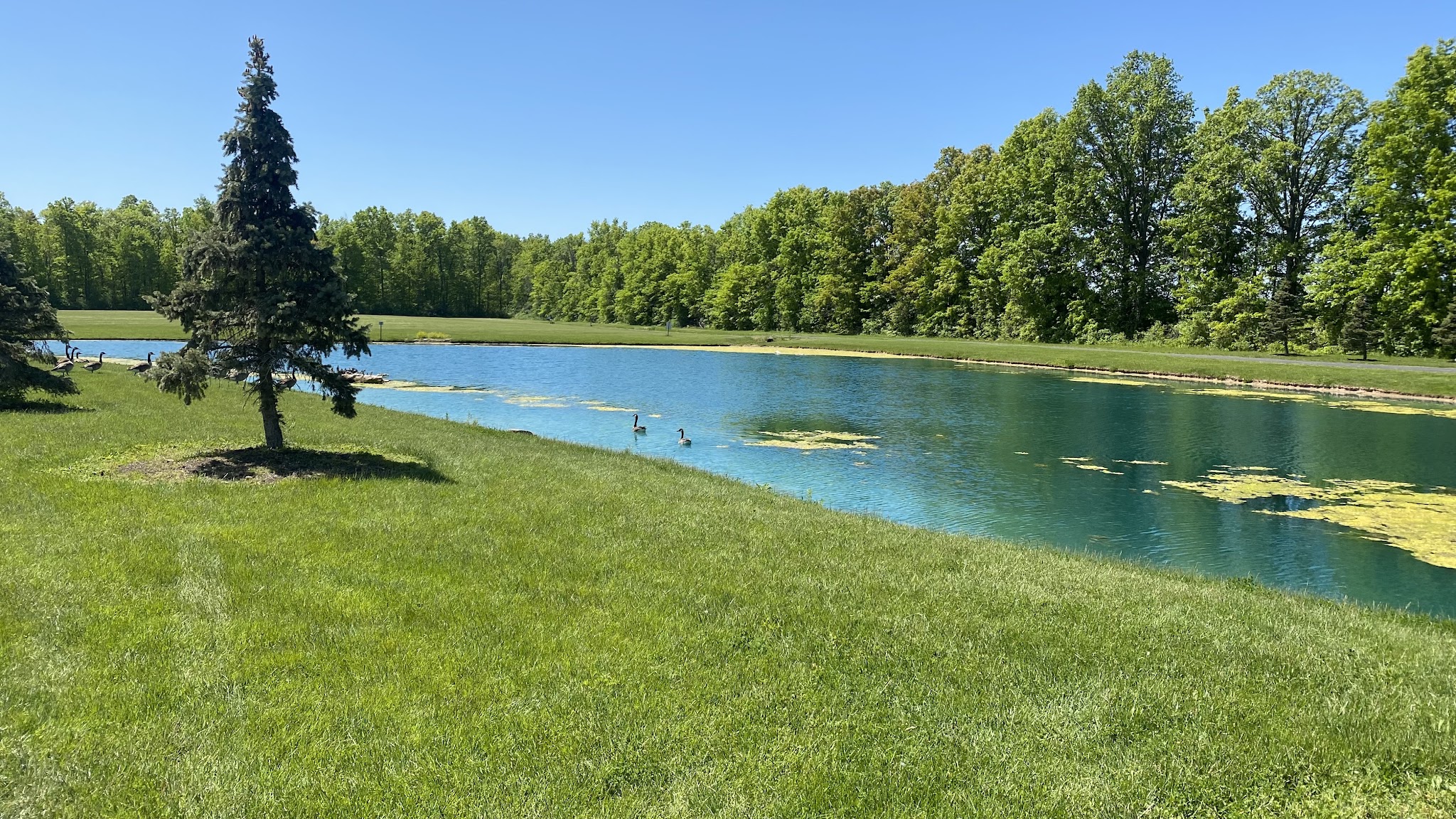 Cambria Town Park - Sanborn, NY