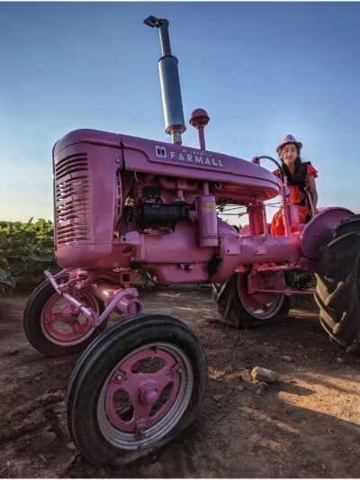 Sunflowers of Sanborn - Sanborn, NY