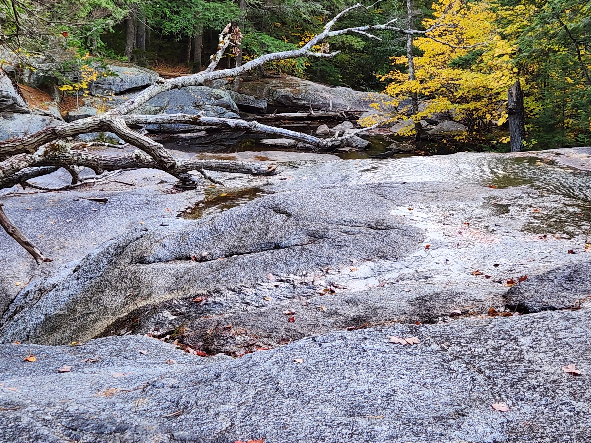 Beede Falls - Sandwich, NH