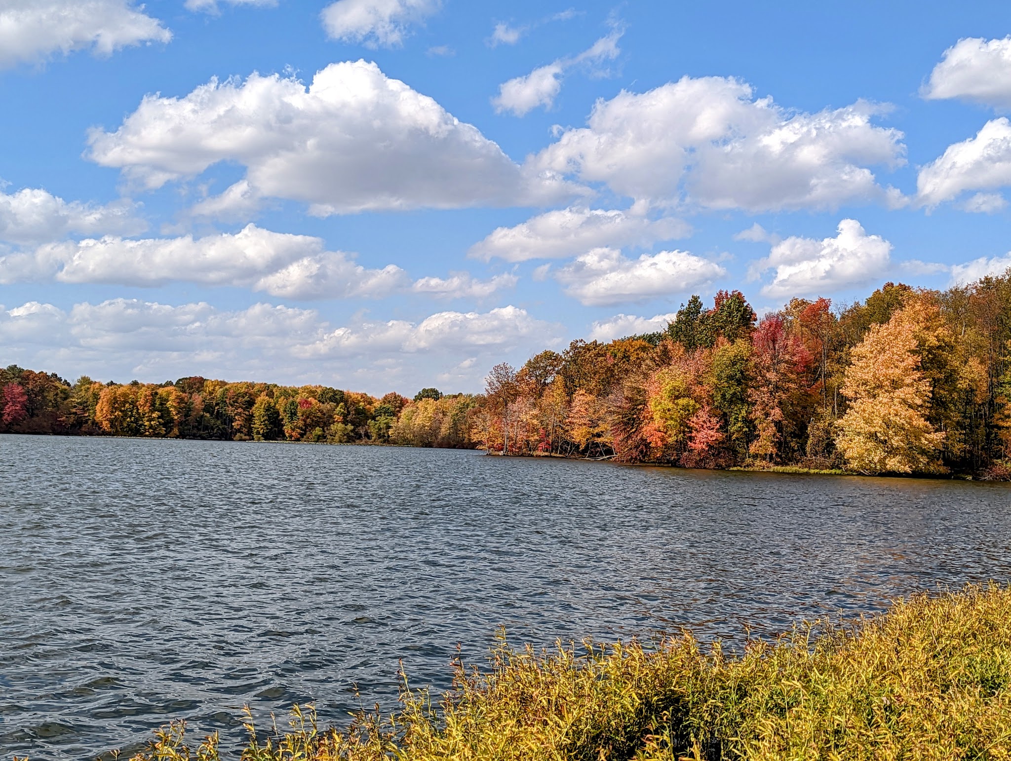 Goddard State Park Secret Local Boat Launch and Trail Access - Sandy Lake, PA