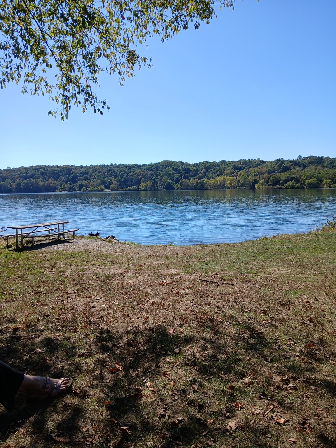Goddard State Park Secret Local Boat Launch and Trail Access - Sandy Lake, PA