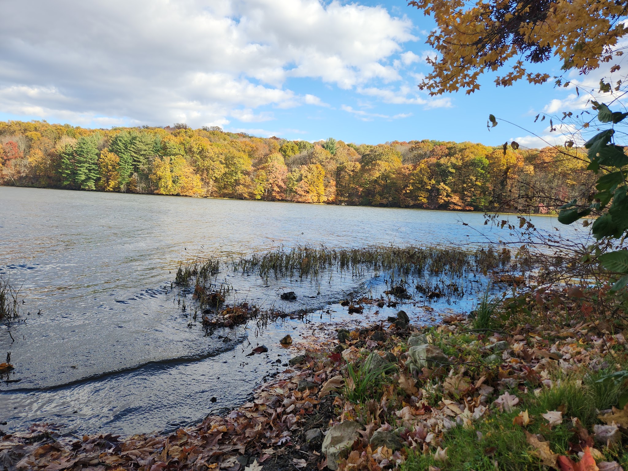 Maurice K Goddard State Park - Sandy Lake, PA