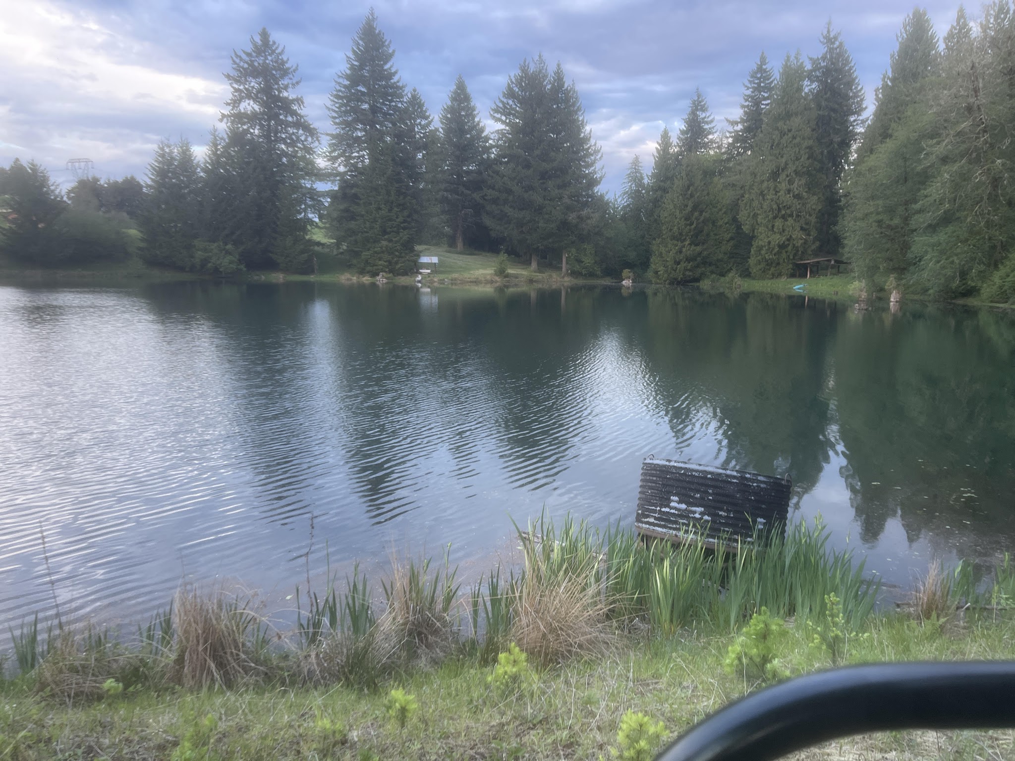 Cedar Ponds Dog Park - Sandy, OR