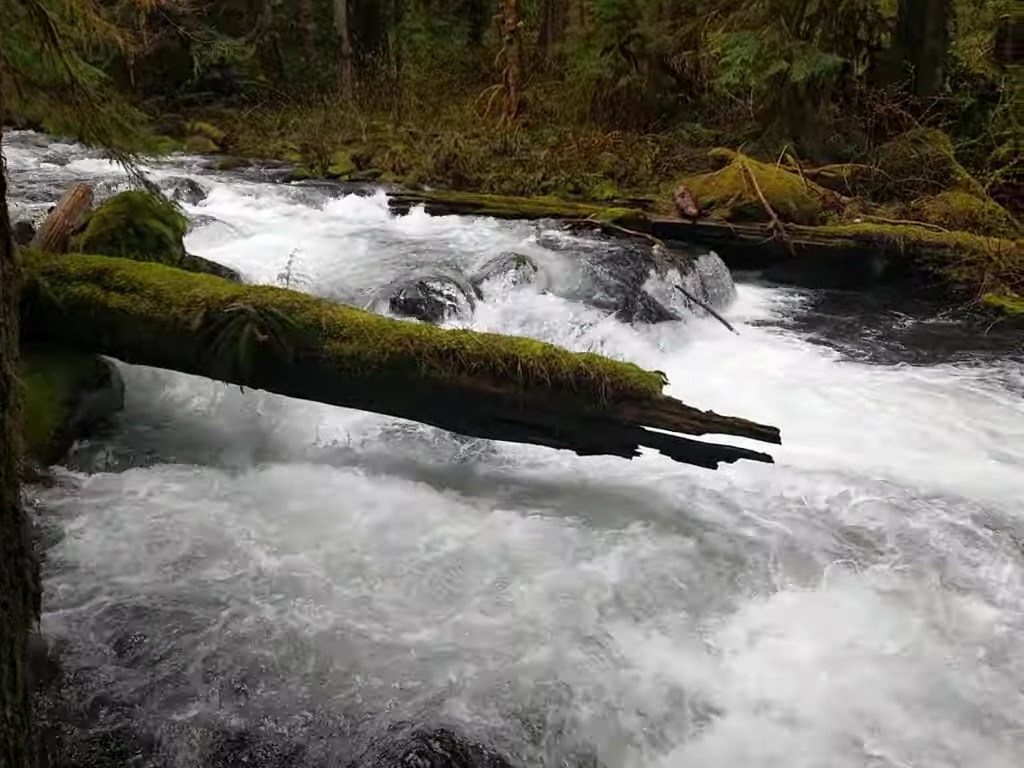 Eagle Creek Trailhead (Clackamas County) - Sandy, OR