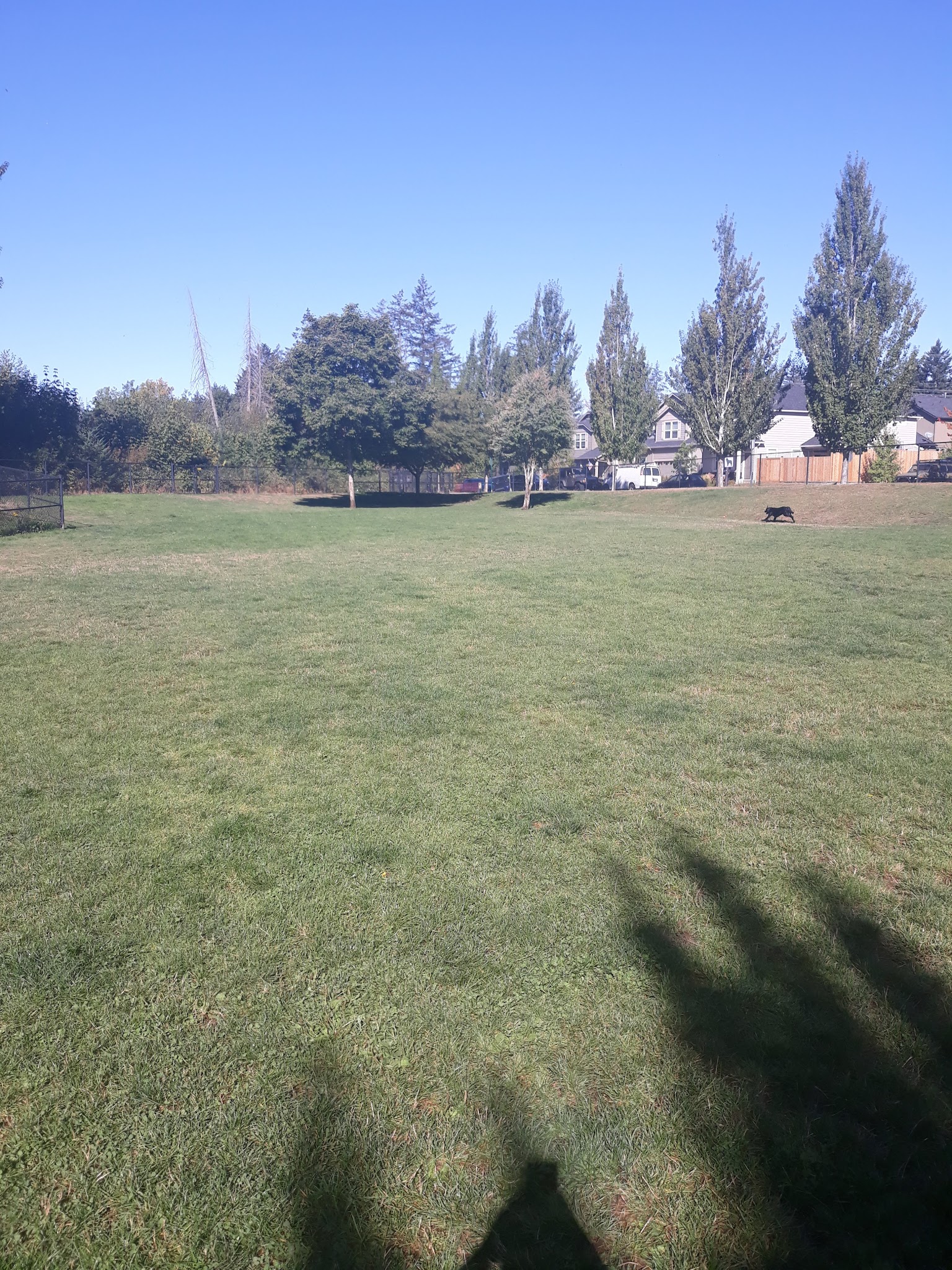 Sandy Bluff Park and Dog Park - Sandy, OR