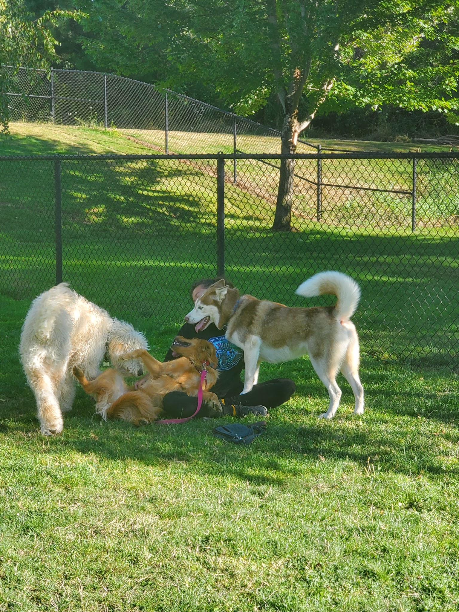 Sandy Bluff Park and Dog Park - Sandy, OR