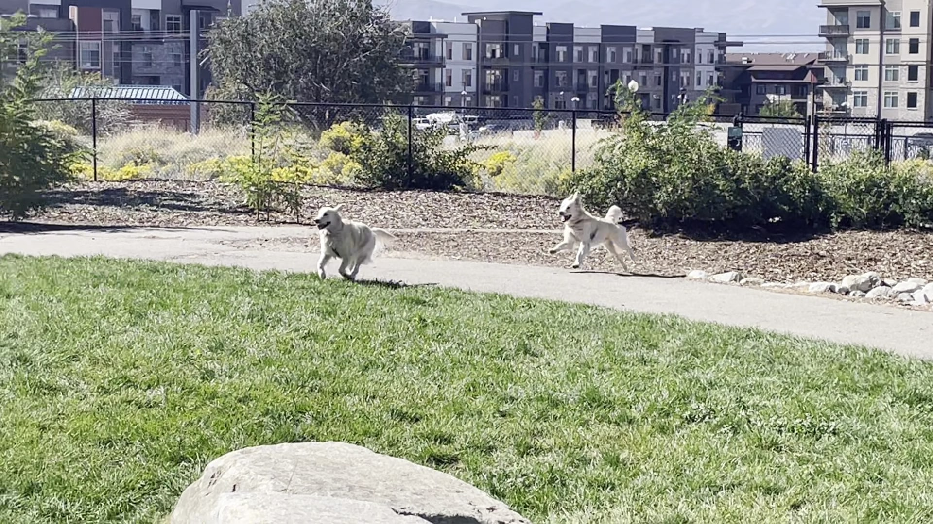 Sandy City Dog Park - Sandy, UT