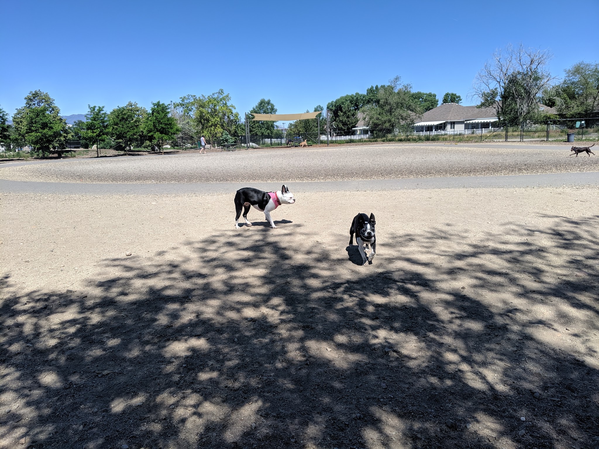 Sandy City Dog Park - Sandy, UT