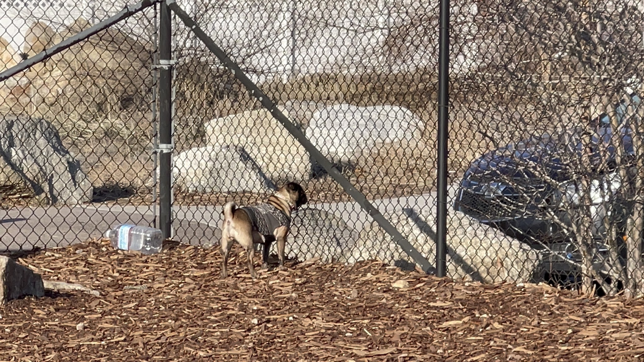 Sandy City Dog Park - Sandy, UT