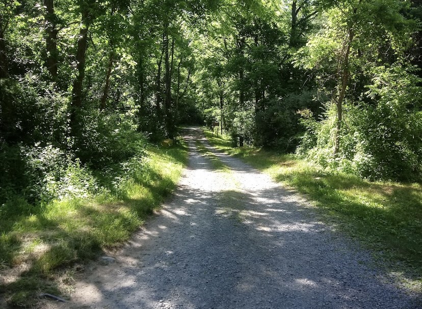 Namanock Recreation Site - Namanock Access - Boat Ramp (Hand Launch Only) - Entrance Road - Sandyston, NJ