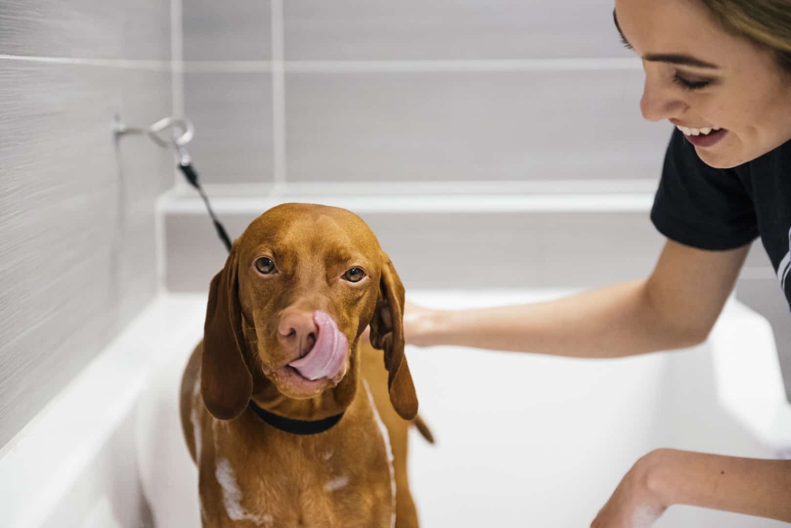 Dogtopia of Orlando - Sanford - Sanford, FL