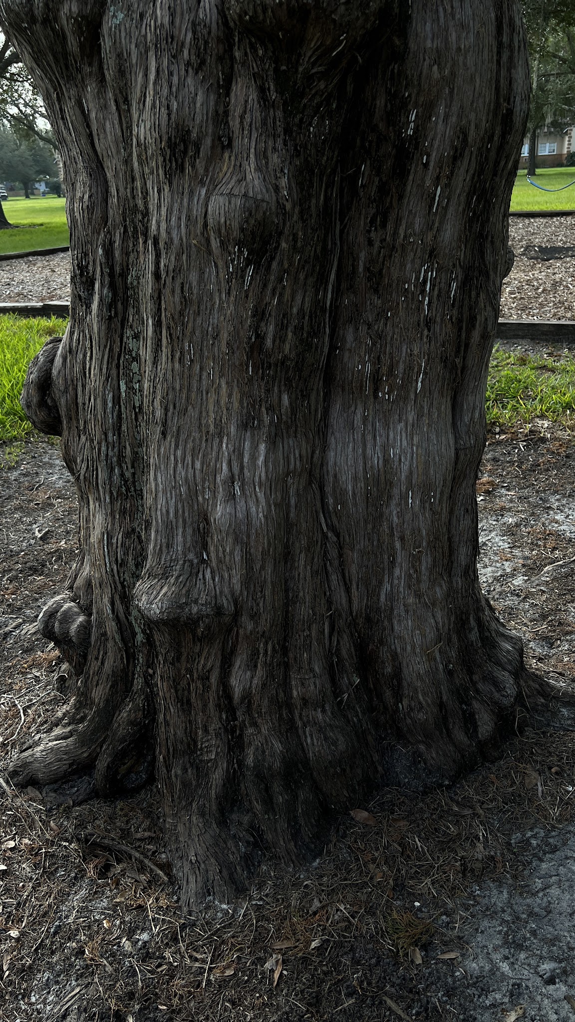 Red Barber Park - Sanford, FL