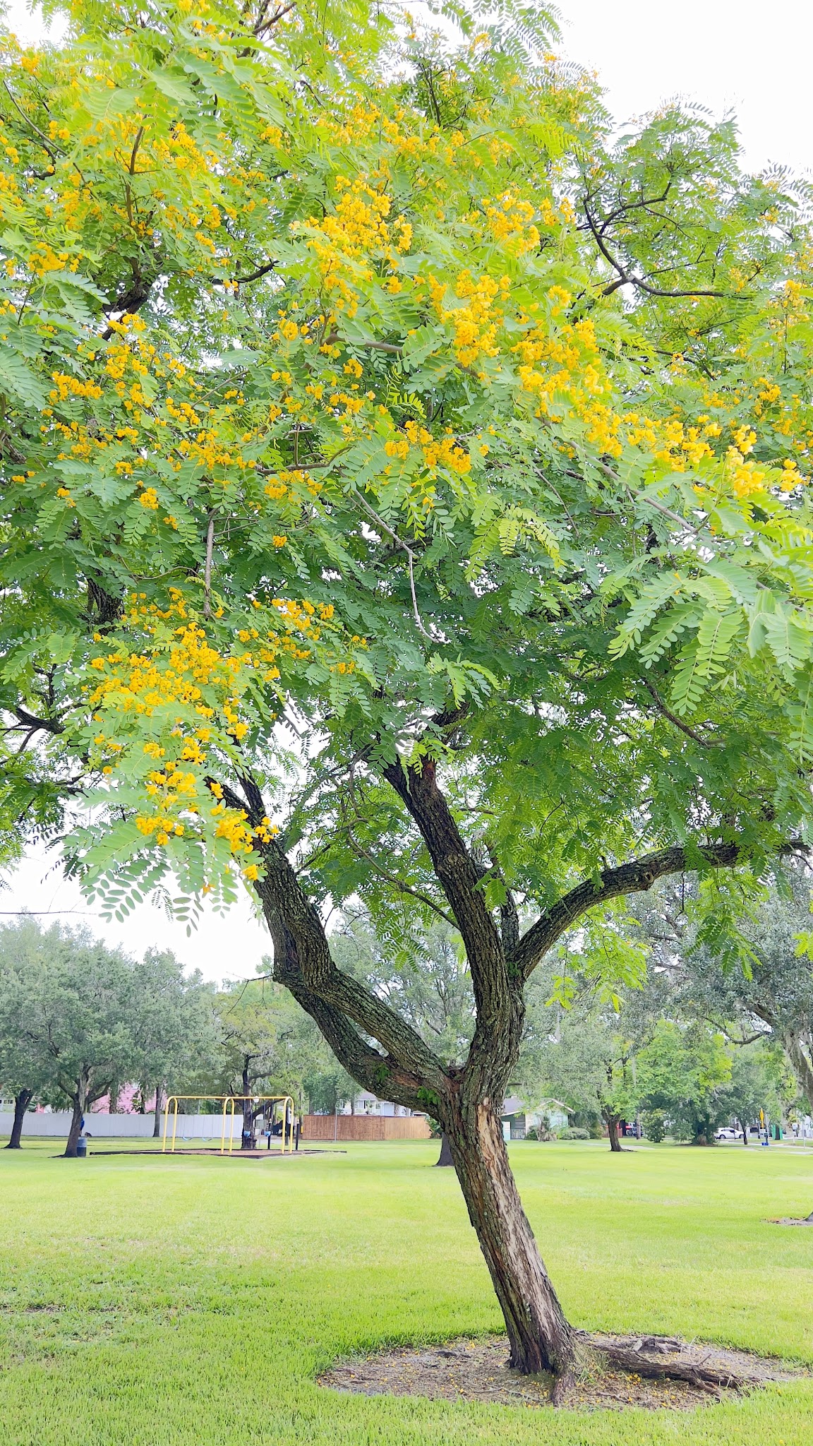 Red Barber Park - Sanford, FL