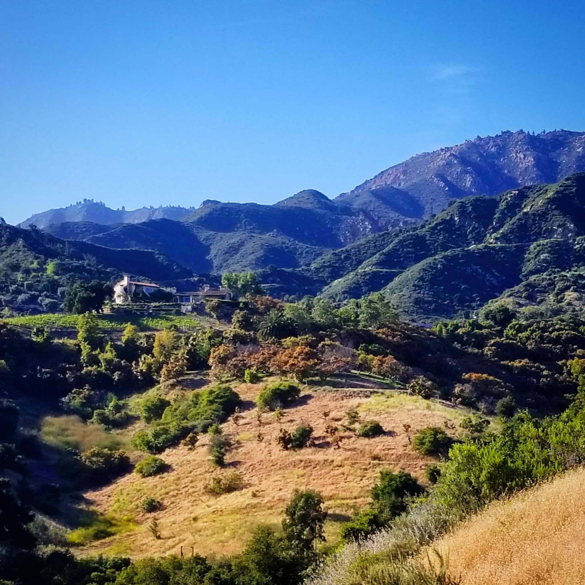 Parma Park - Santa Barbara, CA