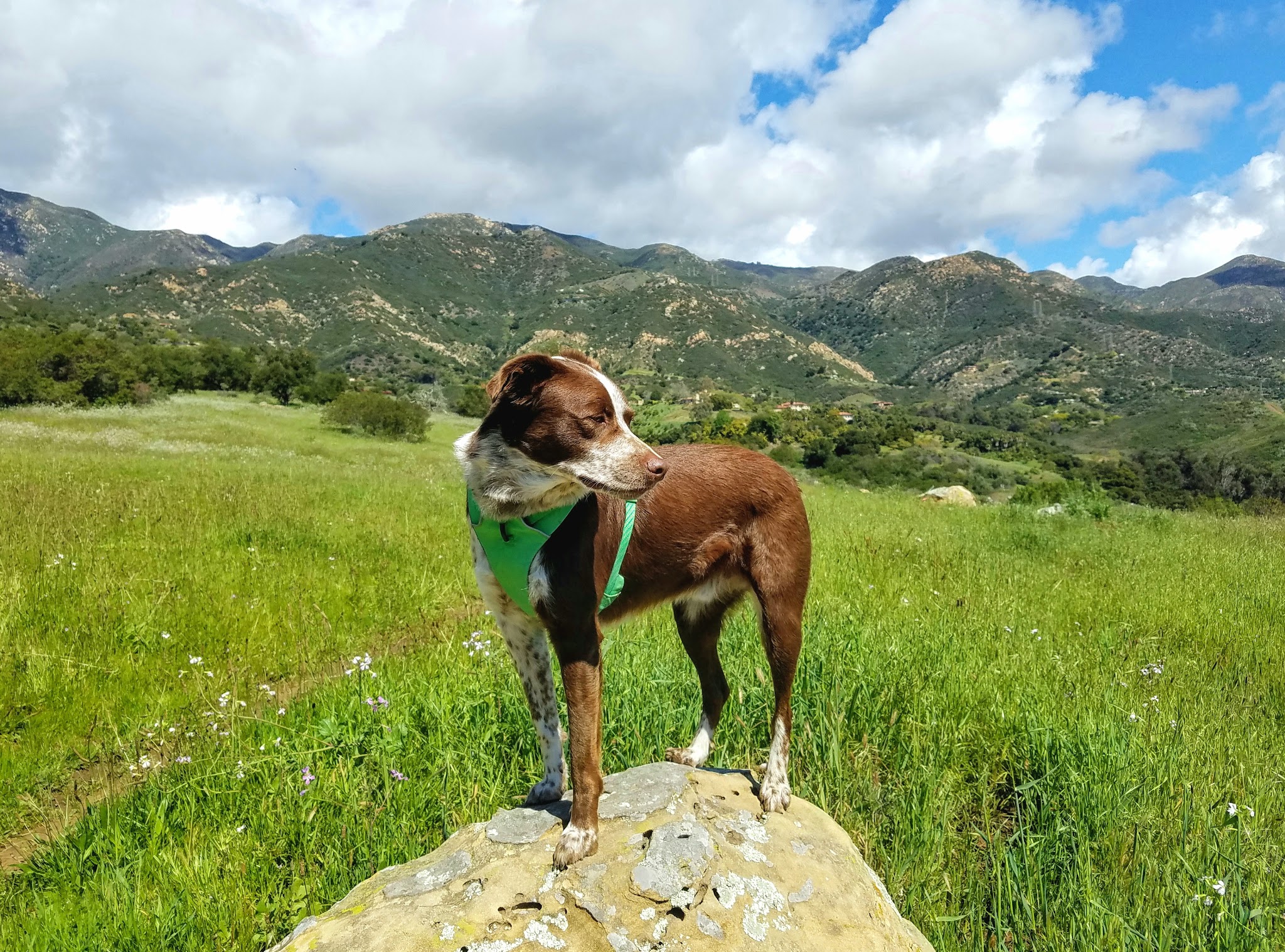 Parma Park - Santa Barbara, CA
