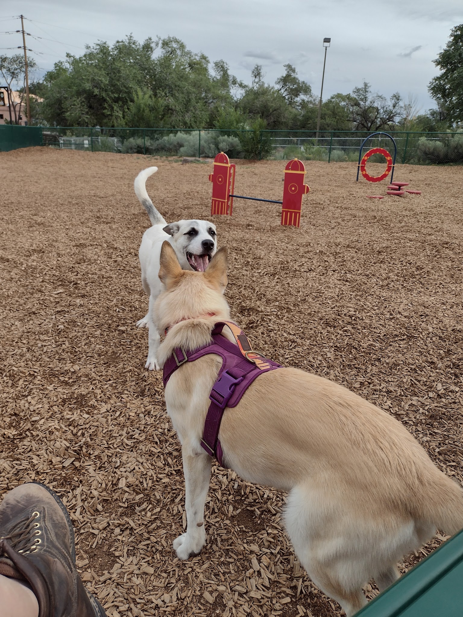 Fort Marcy Dog Park - Santa Fe, NM