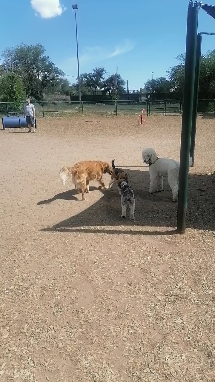 Fort Marcy Dog Park - Santa Fe, NM