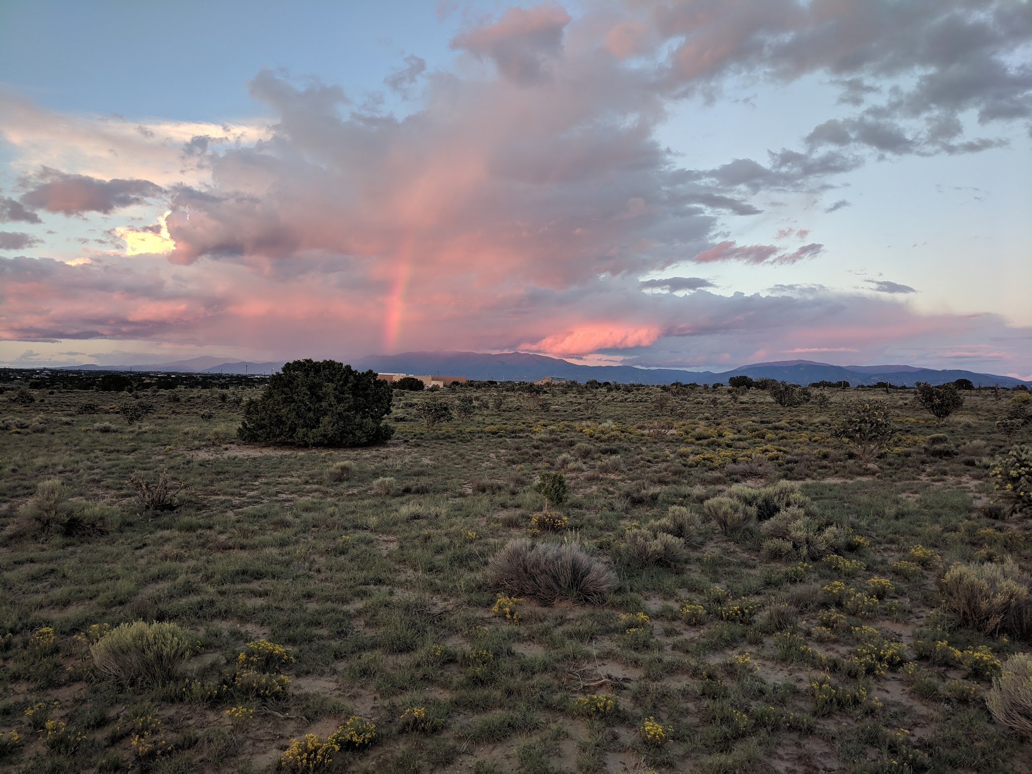 Santa Fe Animal Shelter Dog Park - Santa Fe, NM