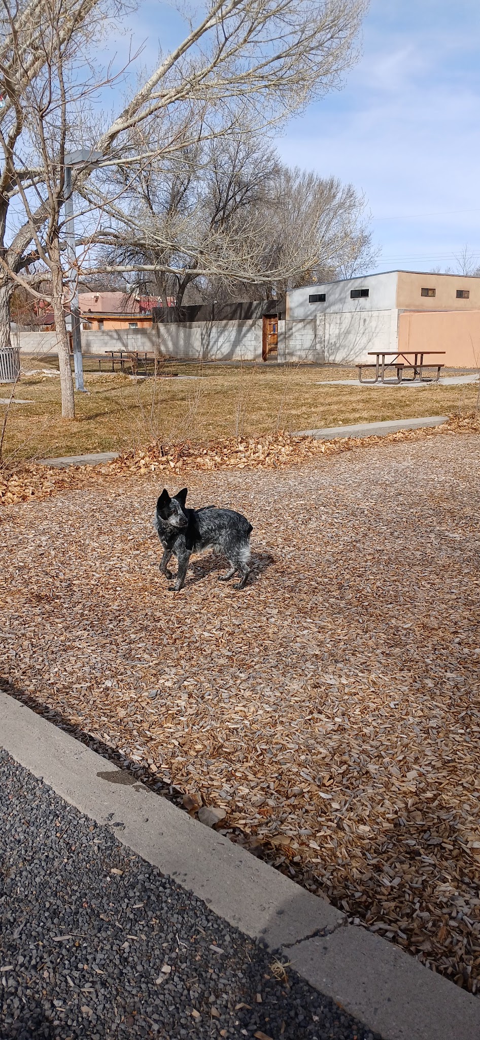 Torreon Park - Santa Fe, NM