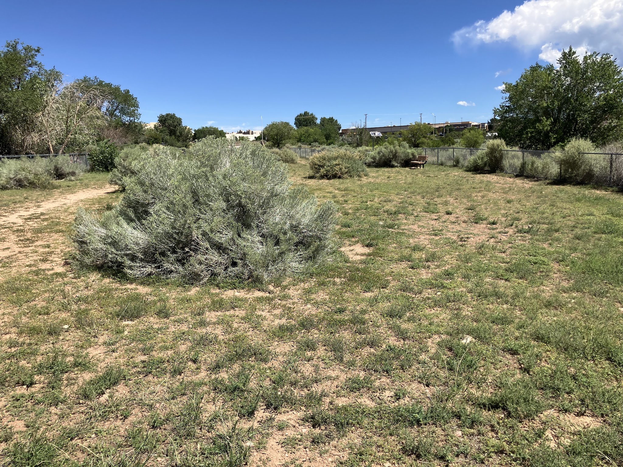 Villa Linda Dog Park - Santa Fe, NM