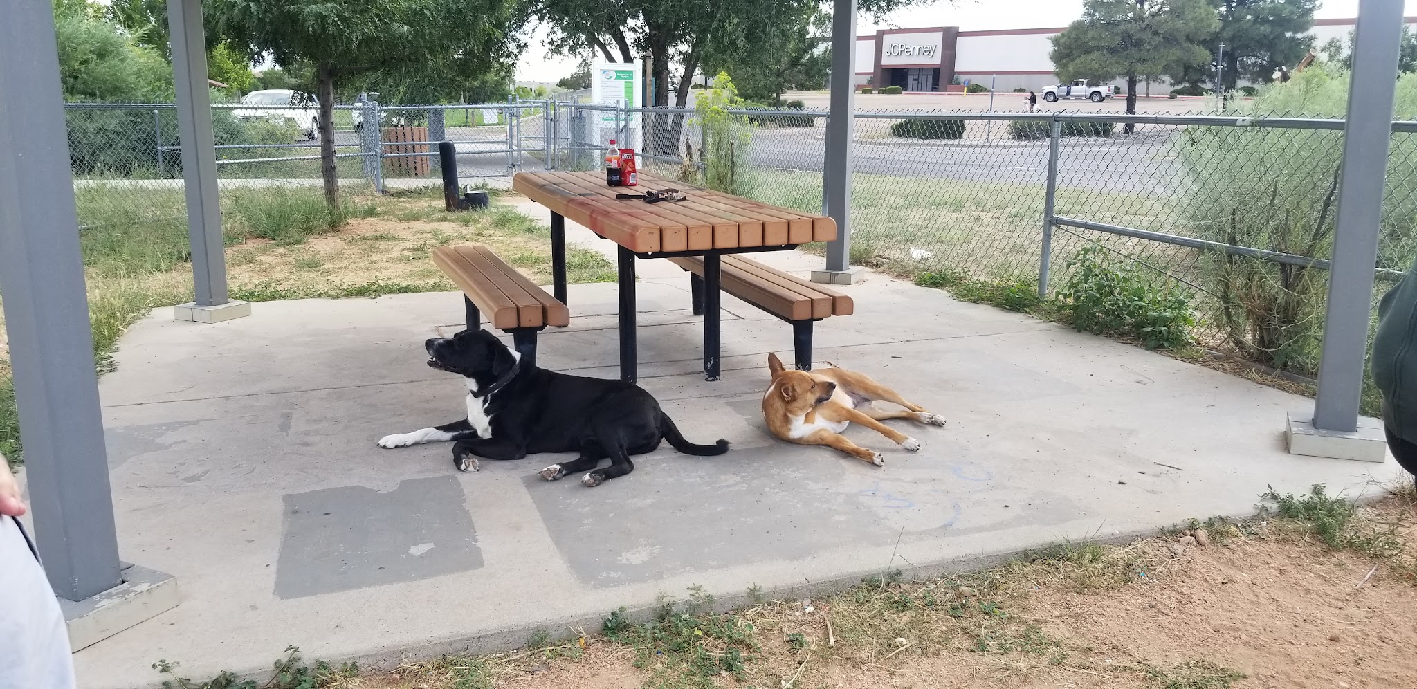 Villa Linda Dog Park - Santa Fe, NM