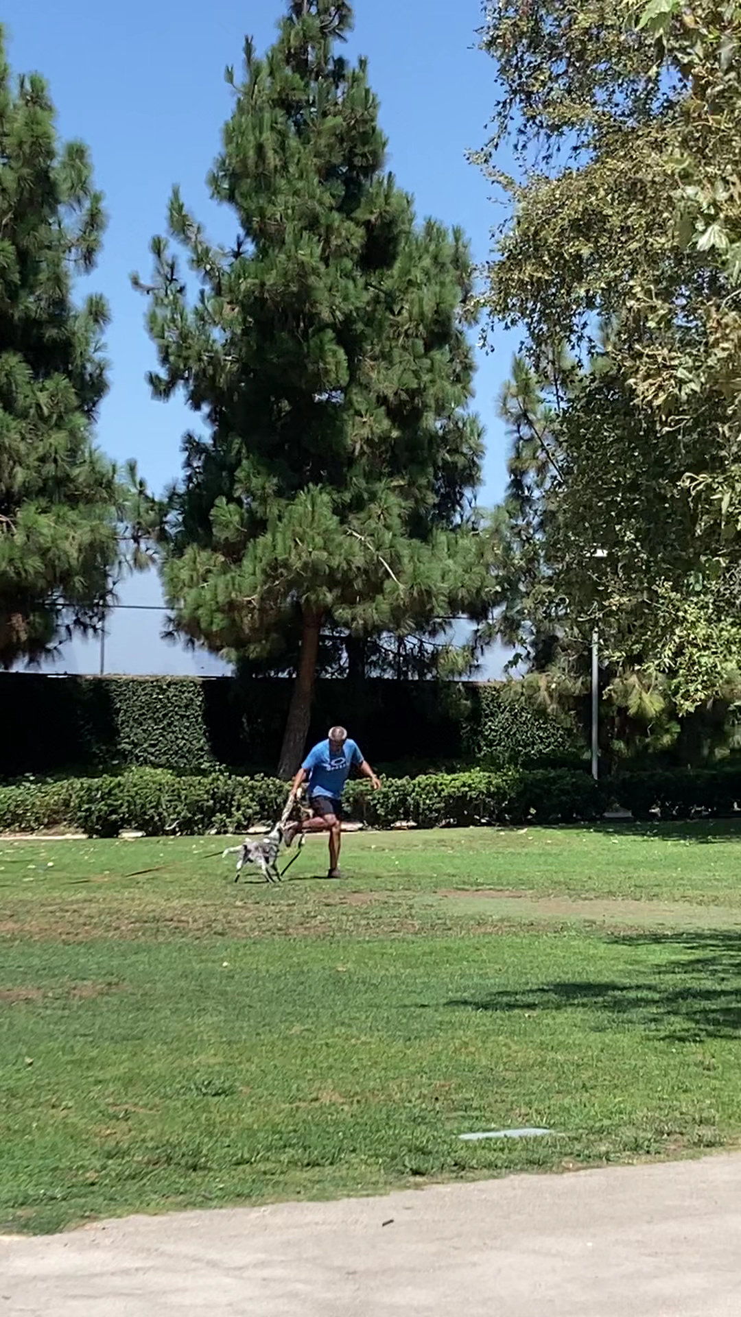 Airport Park - Santa Monica, CA