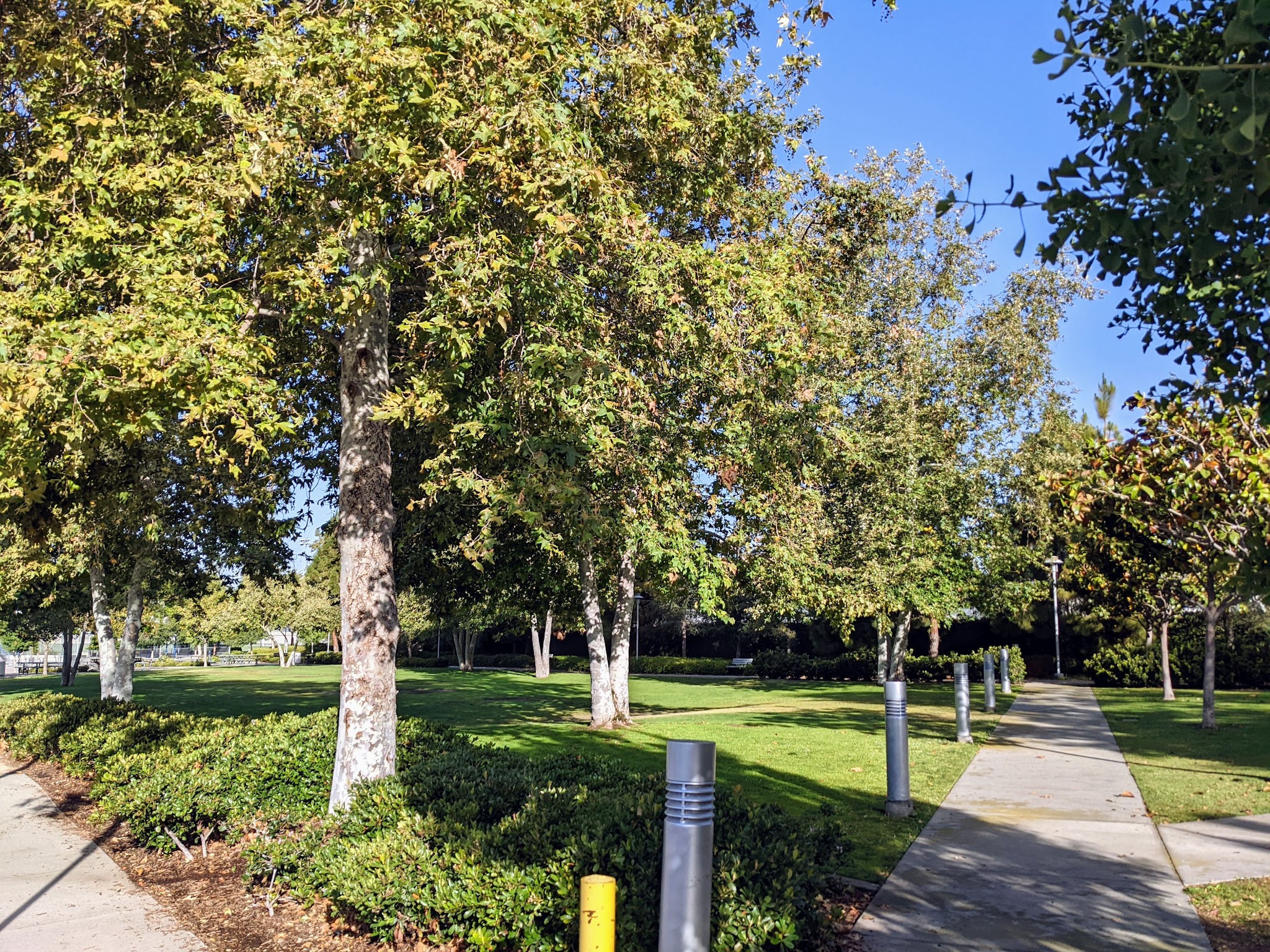 Airport Park - Santa Monica, CA