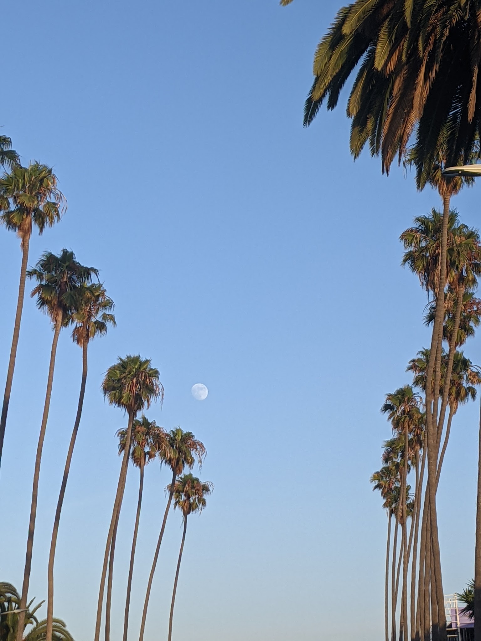 Euclid Park - Santa Monica, CA