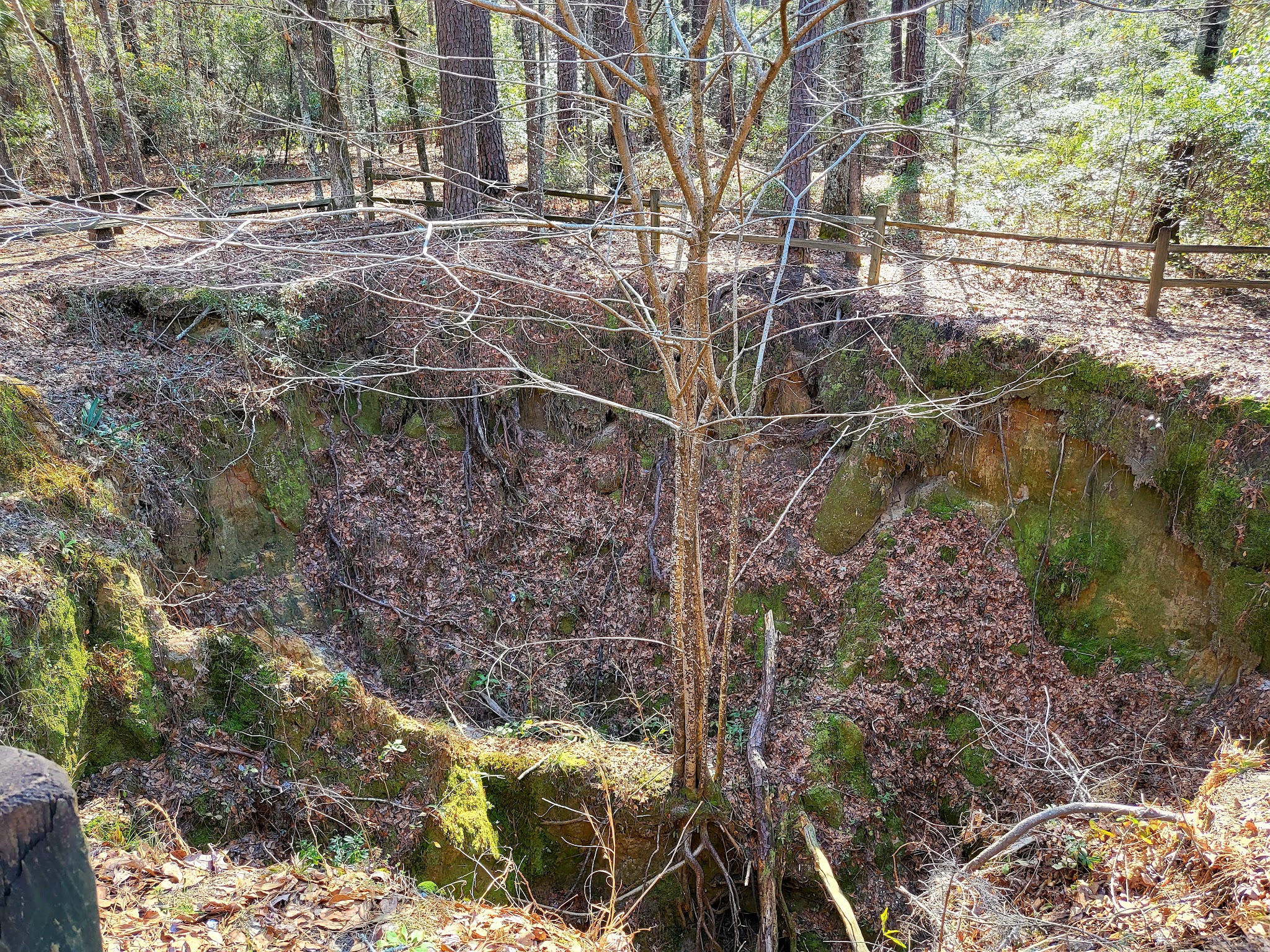 Santee Bike Loop - Santee, SC