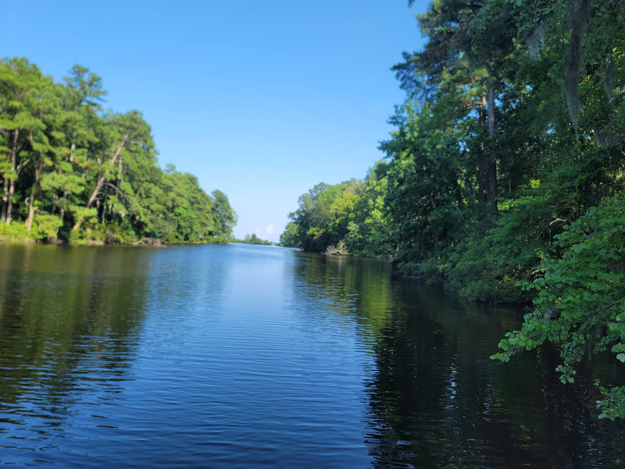 Santee State Park - Santee, SC