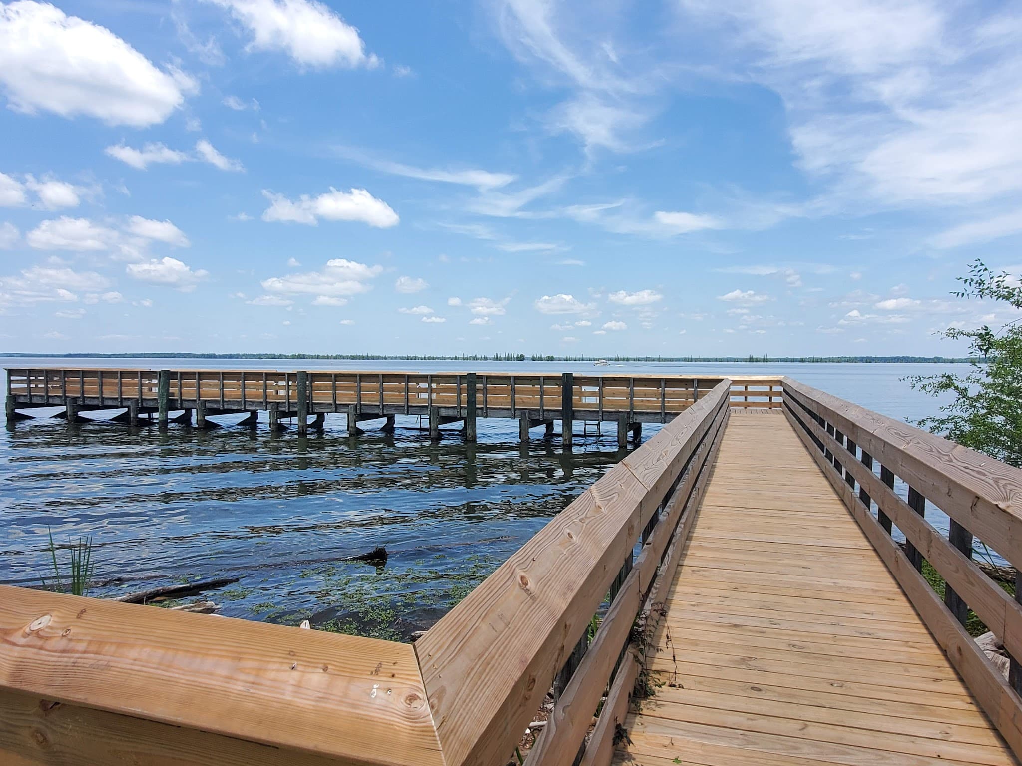 Santee State Park - Santee, SC