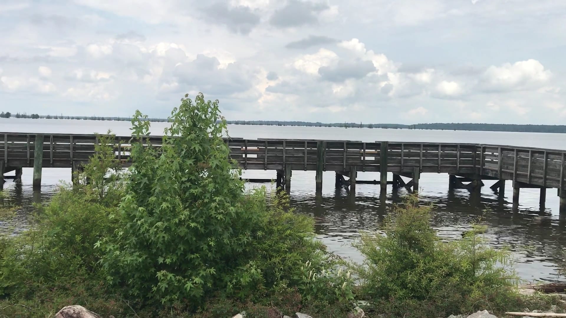 Santee State Park - Santee, SC