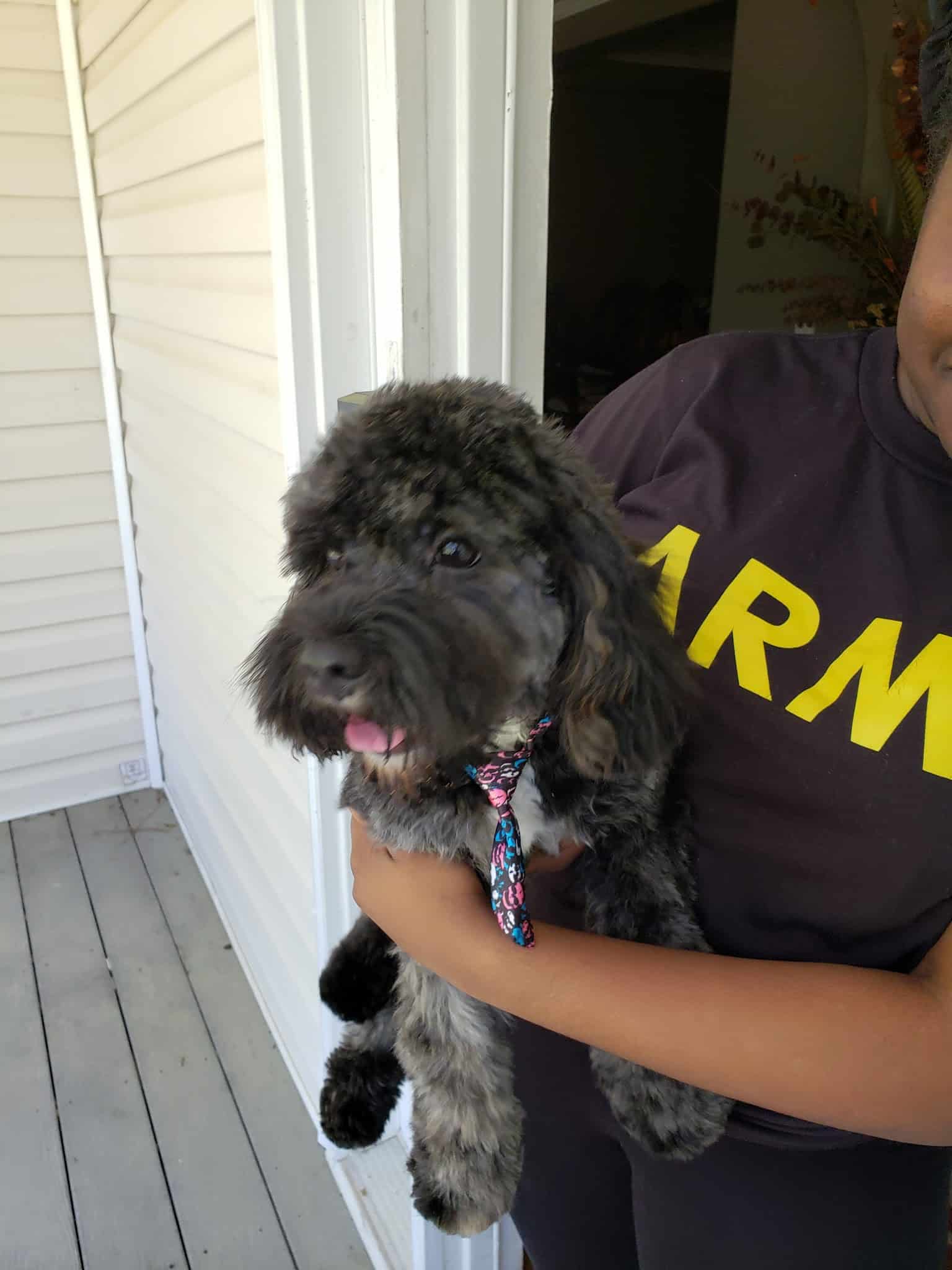 The Canine Country Club - Santee, SC