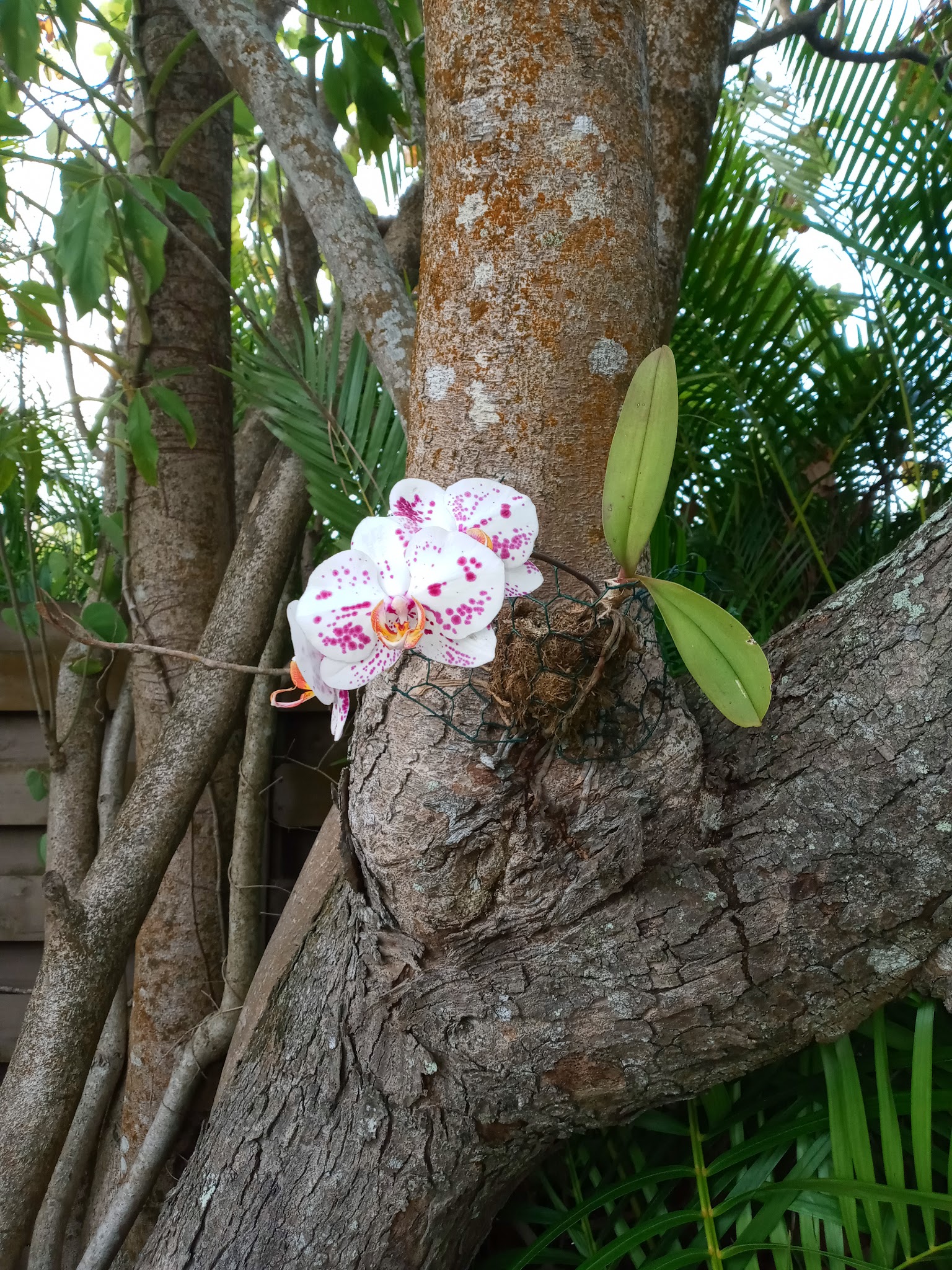 Galvin Park - Sarasota, FL