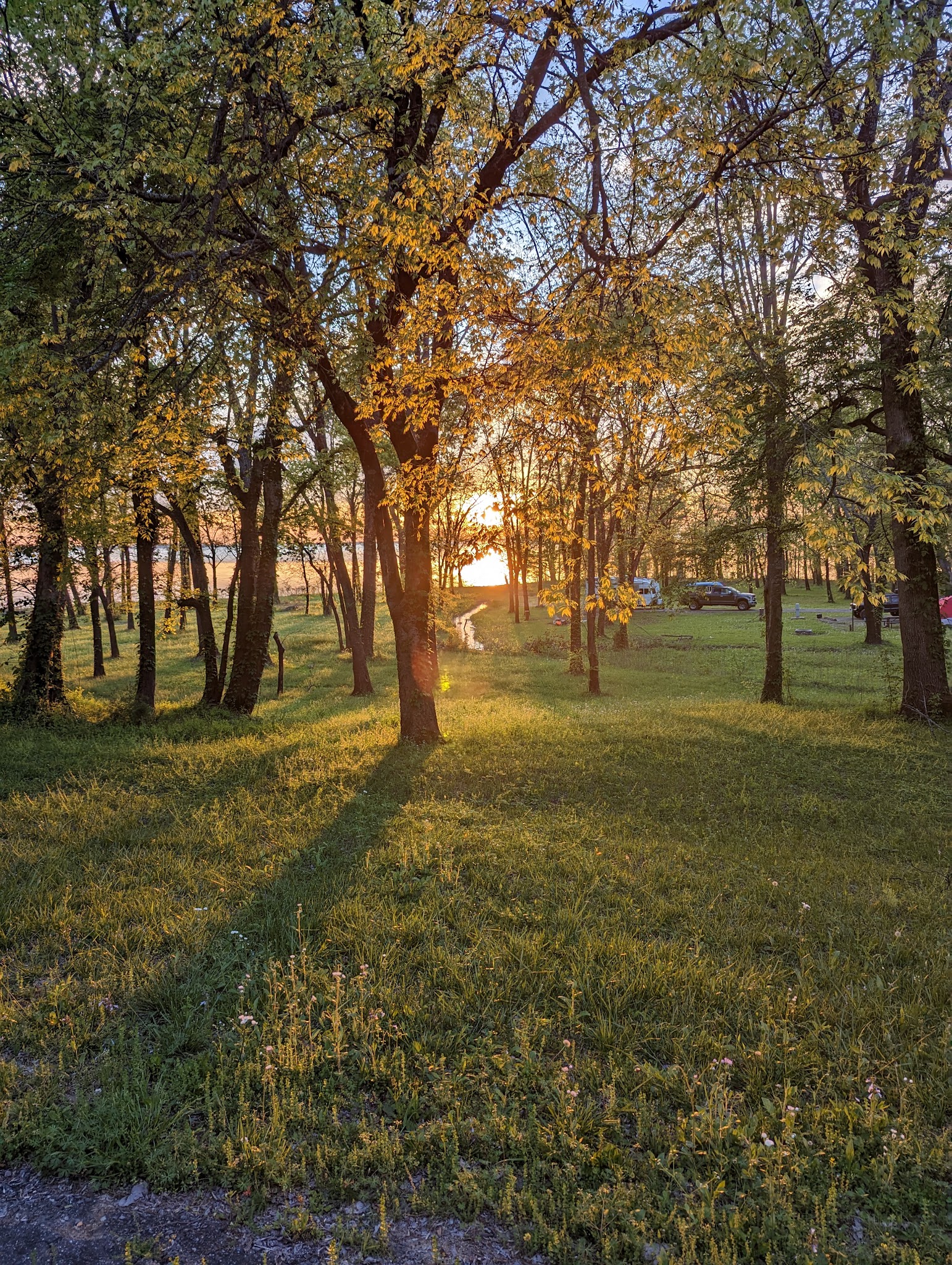 Saratoga Park - Saratoga, AR