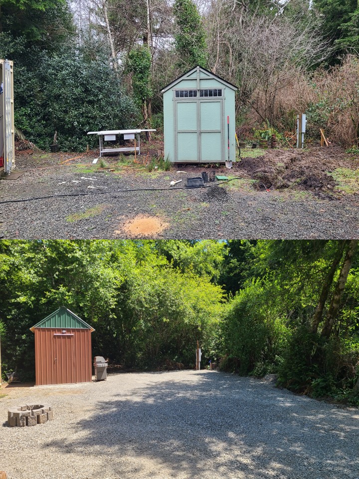 Sasquatch Handyman - ,