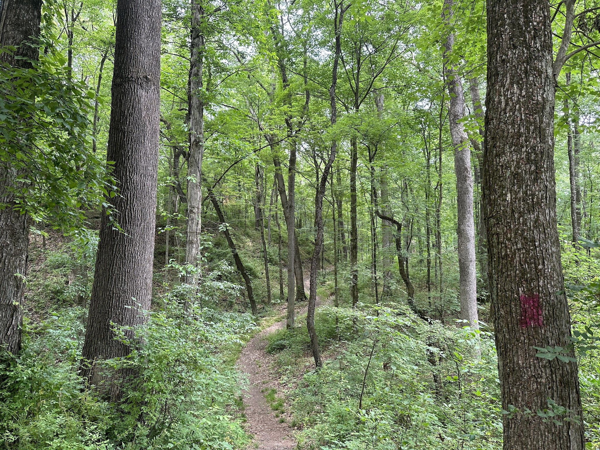 Spring Valley Park - Saxonburg, PA