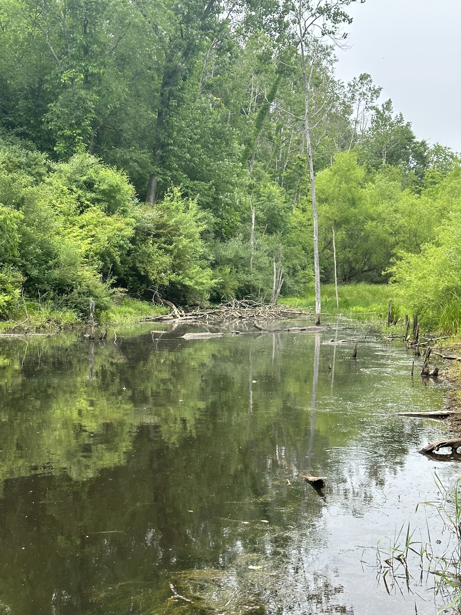 Spring Valley Park - Saxonburg, PA